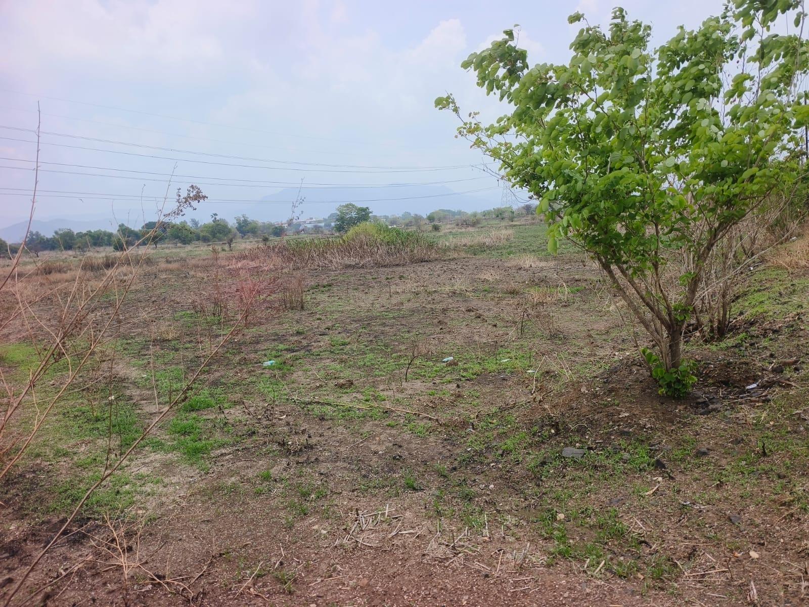 WhatsApp Image 2025-05-17 at 6.04.34 PM